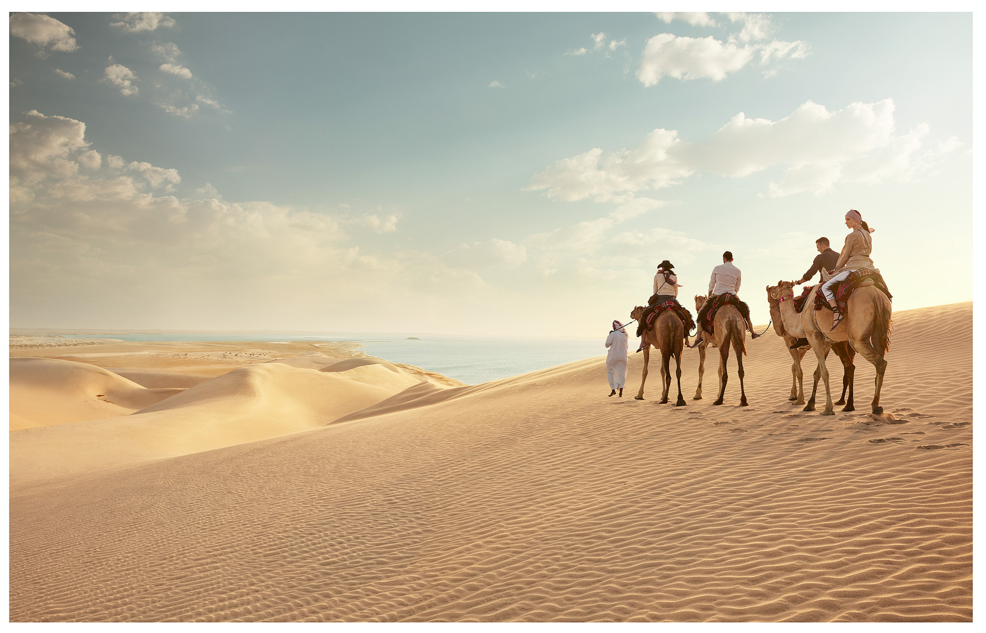 557_grid_qatar_camels_n1a8461_wip_7v2