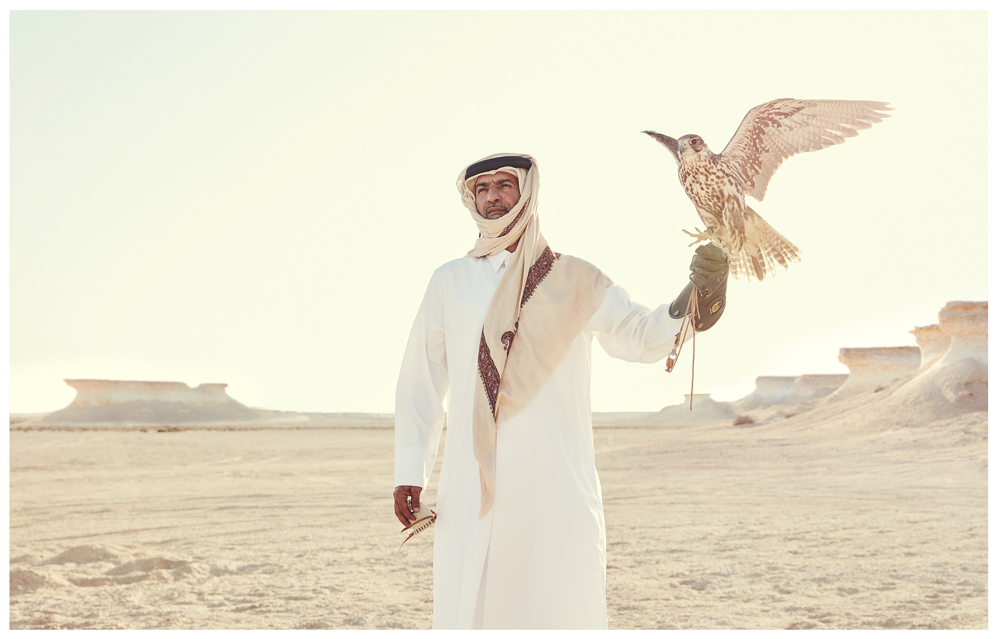 557_grid_qatar_falcon_0571_wip_1