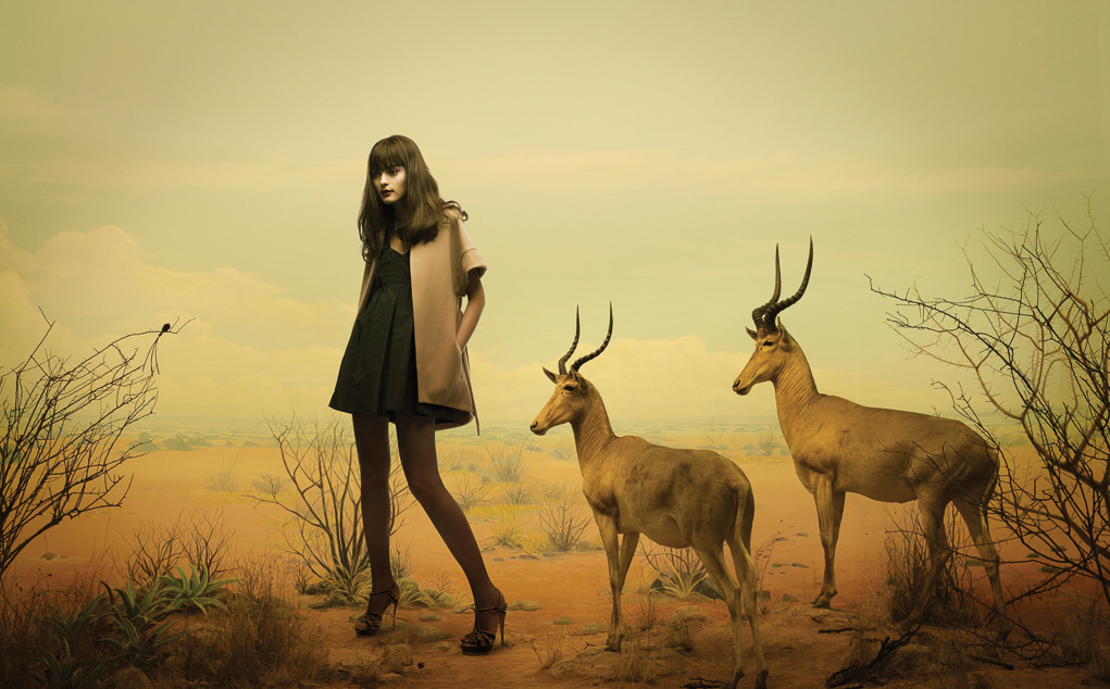 561-093-dioramas-antilope-final-by-erik-almas-advertising-and-editorial-photographer