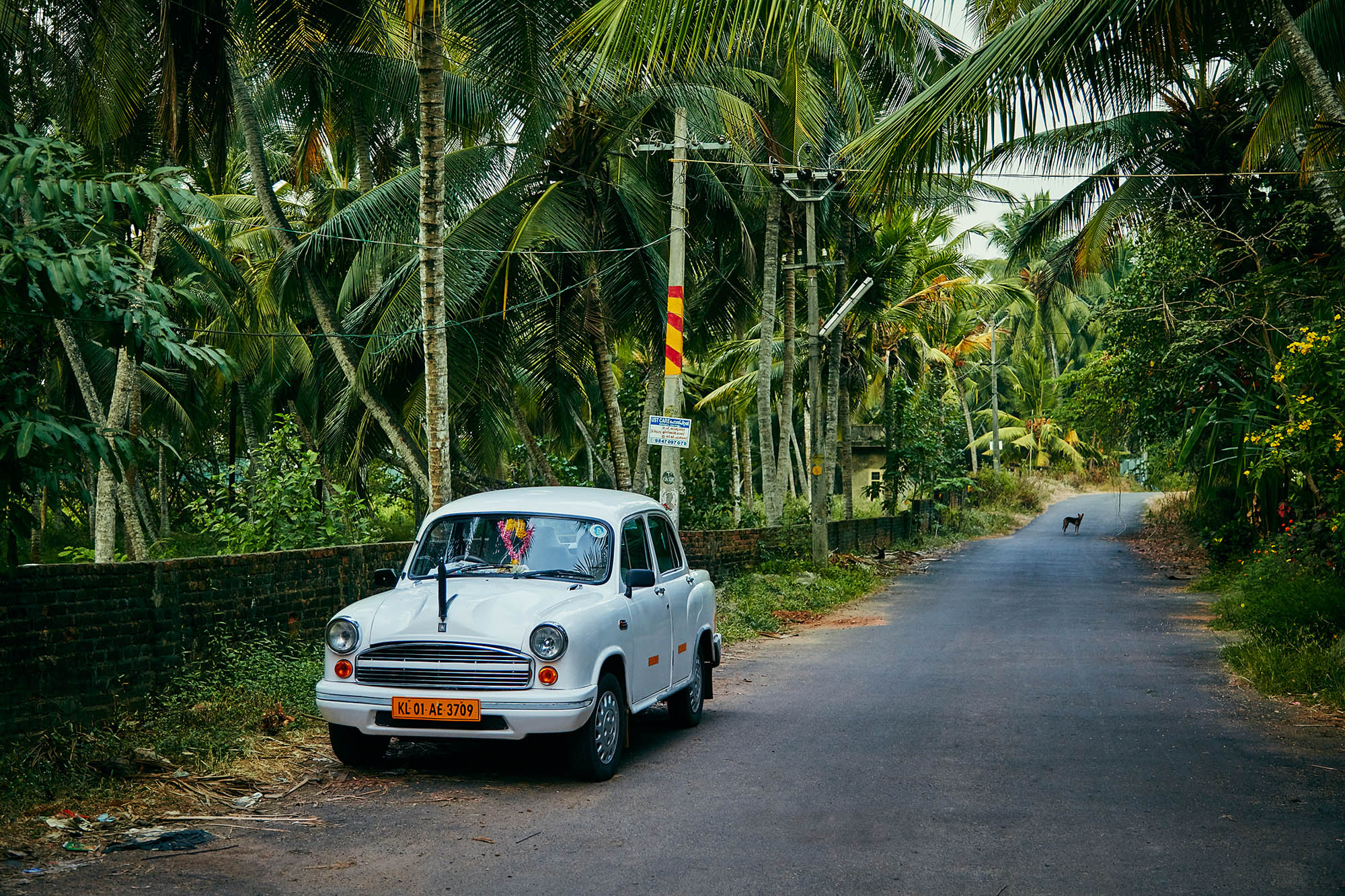 8627_erik-almas-photography-internationalyoga_kerala-mg_2774