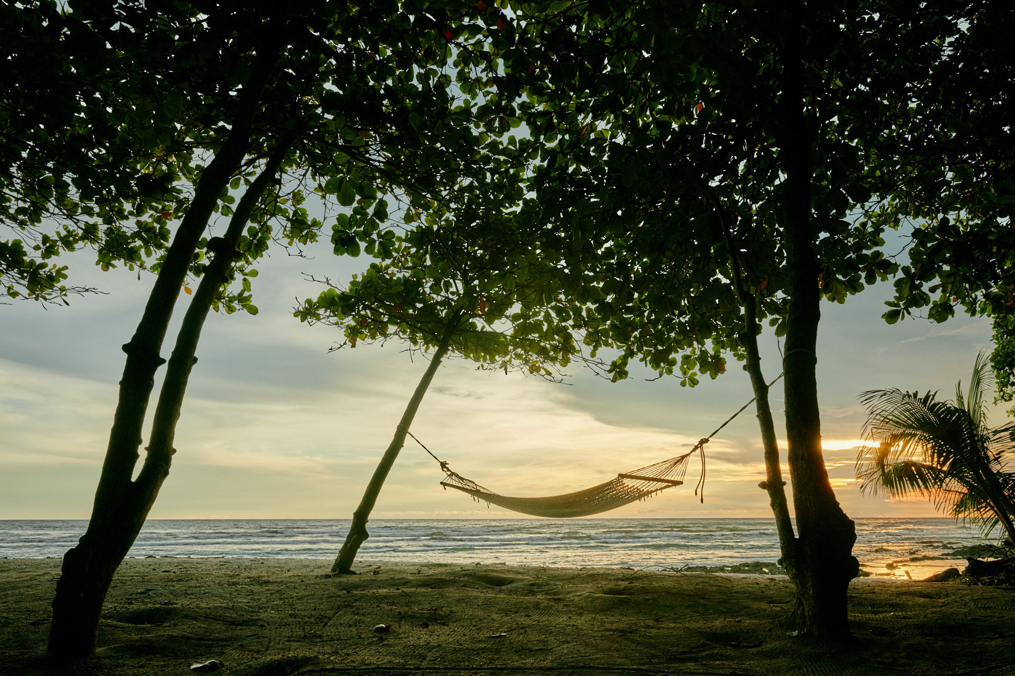 8747-erikalmas-costa-rica-u5a9796